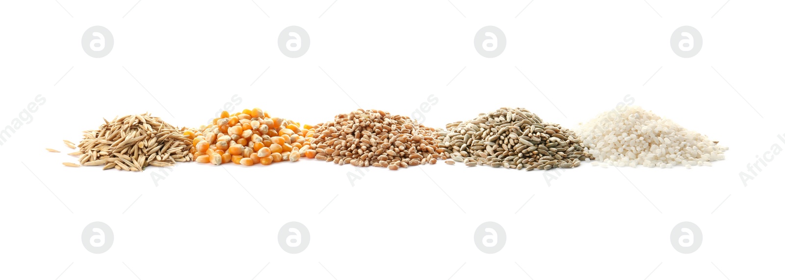 Photo of Different types of grains and cereals on white background