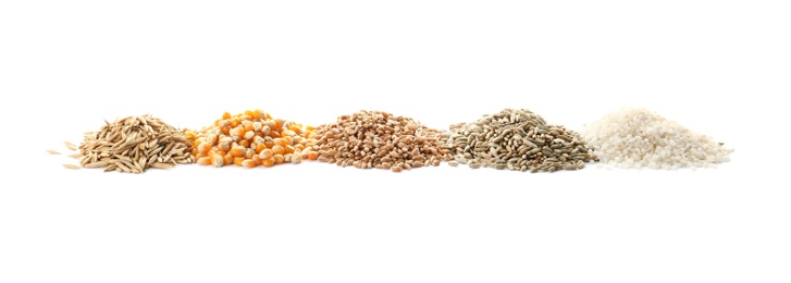 Photo of Different types of grains and cereals on white background