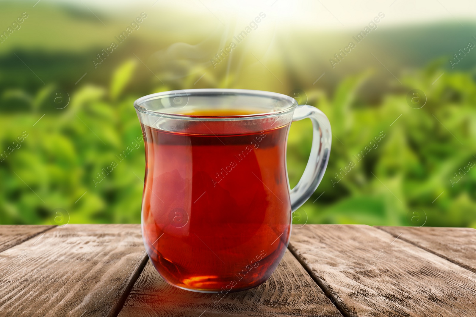 Image of Cup of hot freshly brewed rooibos tea on wooden table outdoors