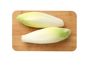 Photo of Raw ripe chicories on white background, top view