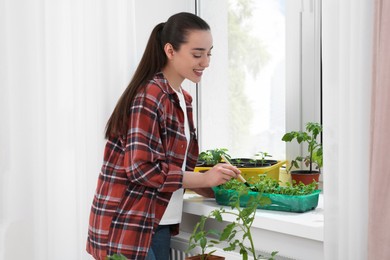 Happy woman planting seedlings into plastic container near window indoors