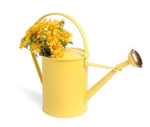 Photo of Beautiful bouquet of yellow wildflowers in watering can isolated on white