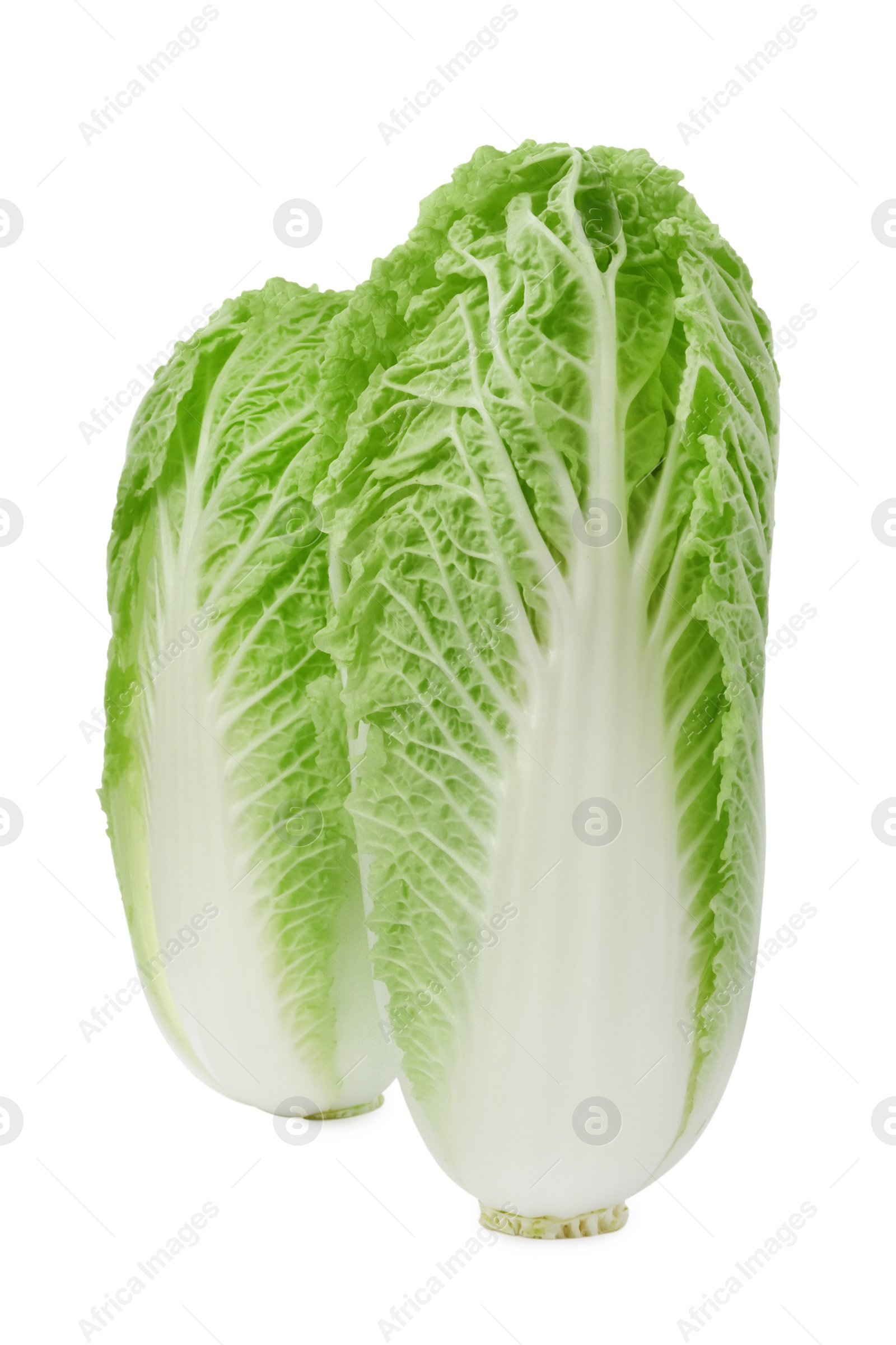 Photo of Fresh tasty Chinese cabbages on white background