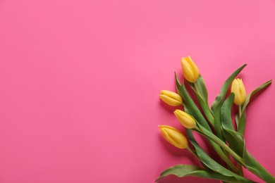 Photo of Many beautiful tulips on pink background, flat lay. Space for text