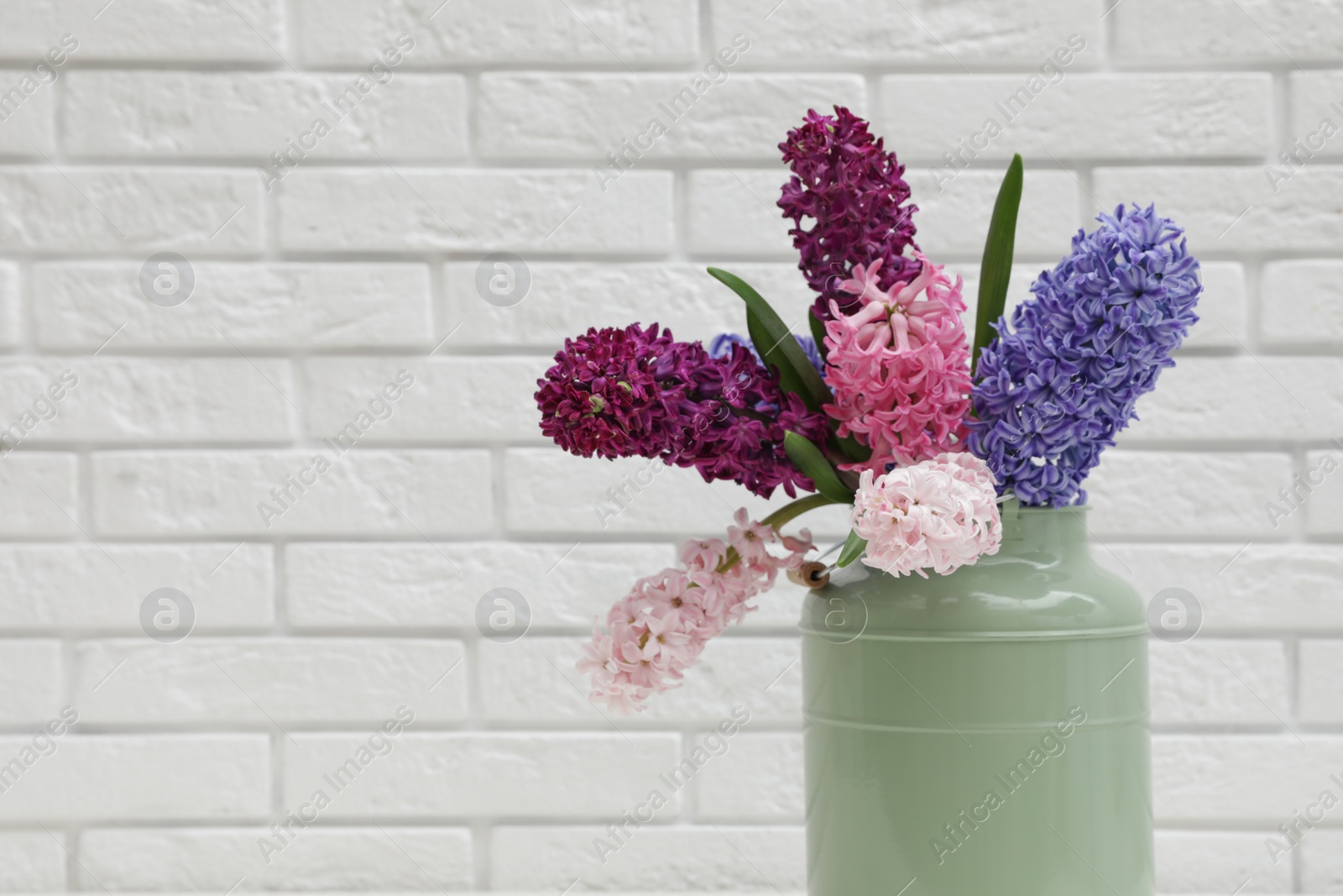 Photo of Beautiful hyacinths in metal can against brick wall, space for text. Spring flowers