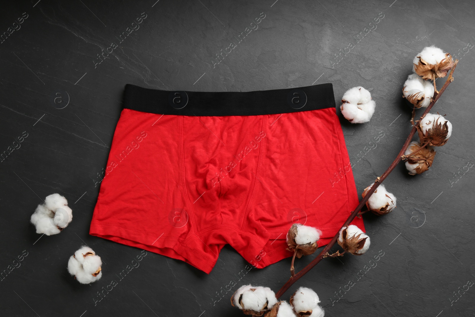 Photo of Men's underwear and cotton flowers on black stone background, flat lay