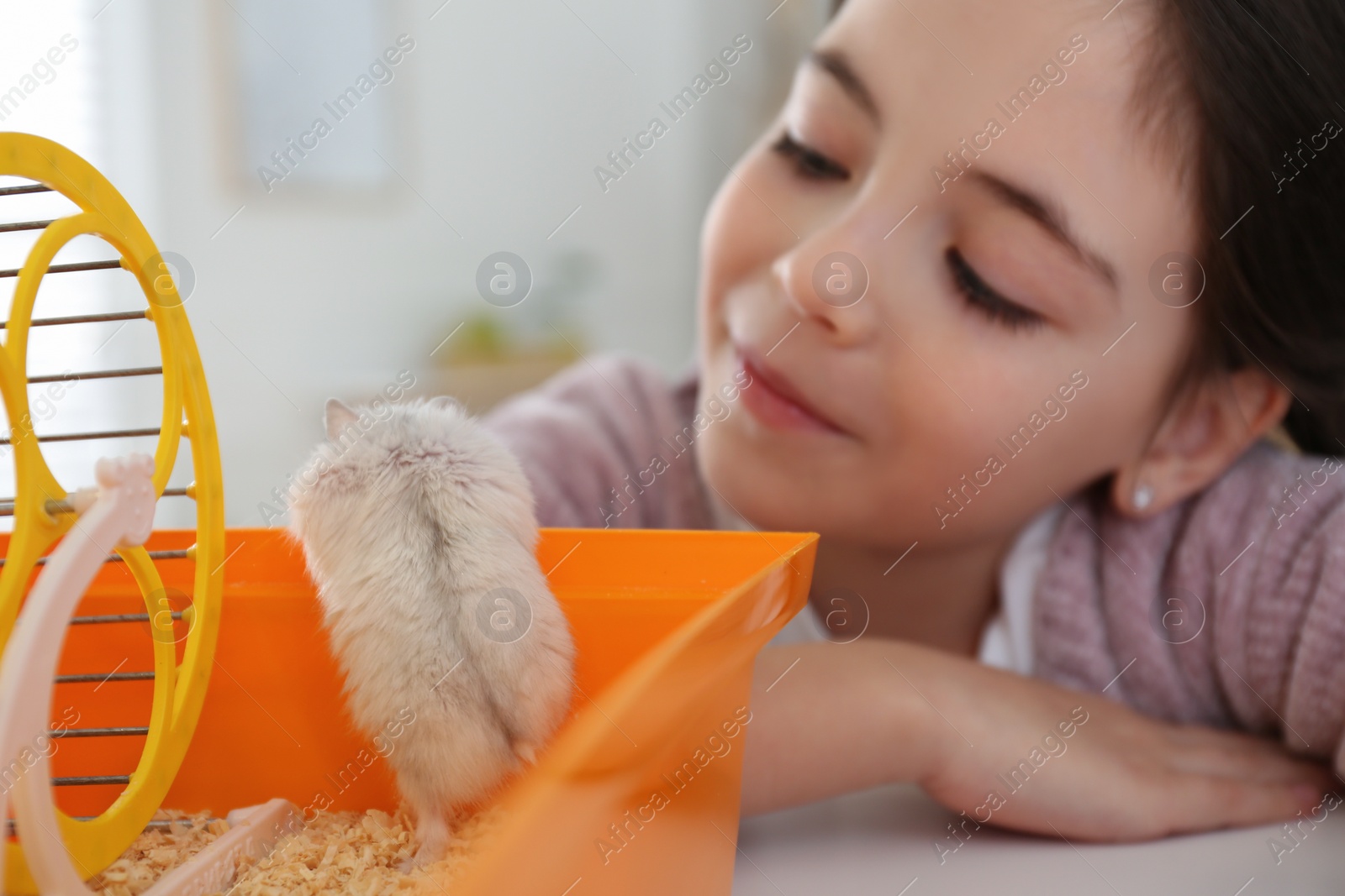 Photo of Little girl and her hamster in cage at home