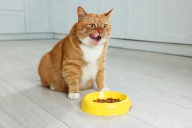 Photo of Cute ginger cat near feeding bowl in kitchen. Space for text