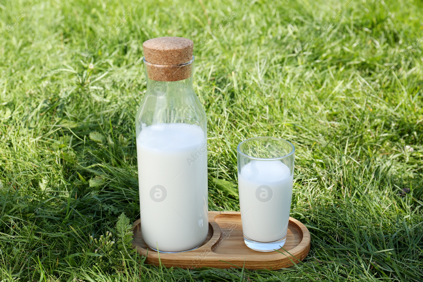 Photo of Glass and bottle of fresh milk on green grass outdoors