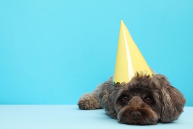 Cute Maltipoo dog with party hat on light blue background, space for text. Lovely pet