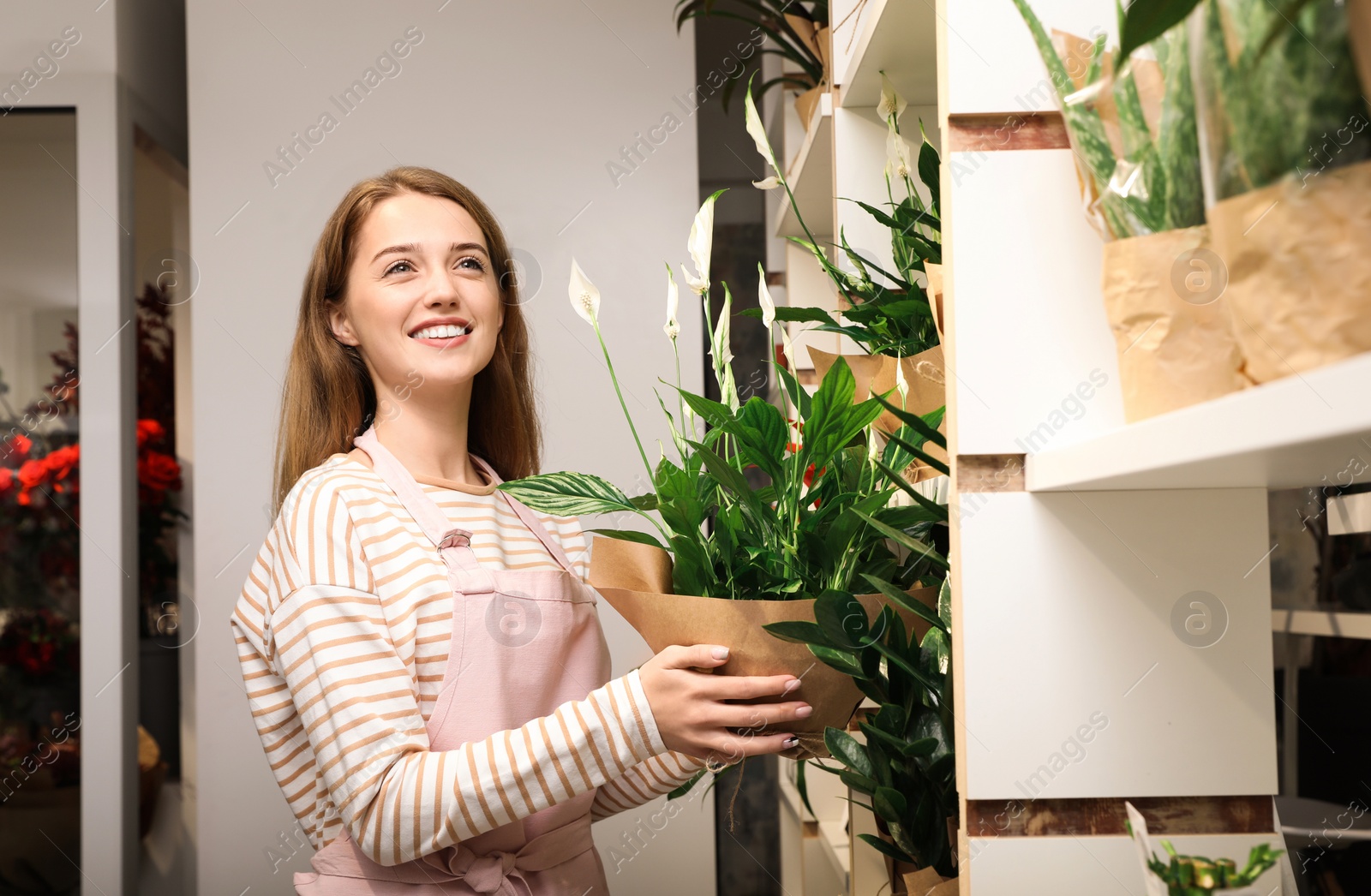 Photo of Professional female florist in apron at workplace