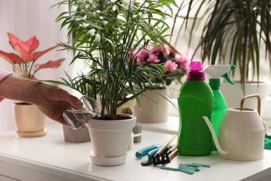 Photo of Woman watering house plant with liquid fertilizer indoors, closeup