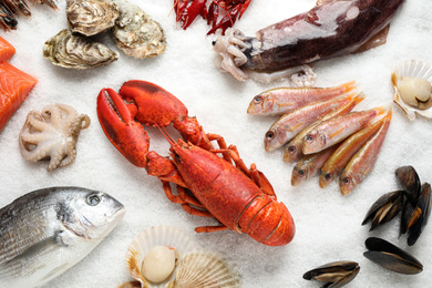 Fresh fish and seafood on ice, flat lay