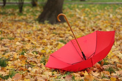 Photo of Open umbrella and fallen autumn leaves on grass in park, space for text