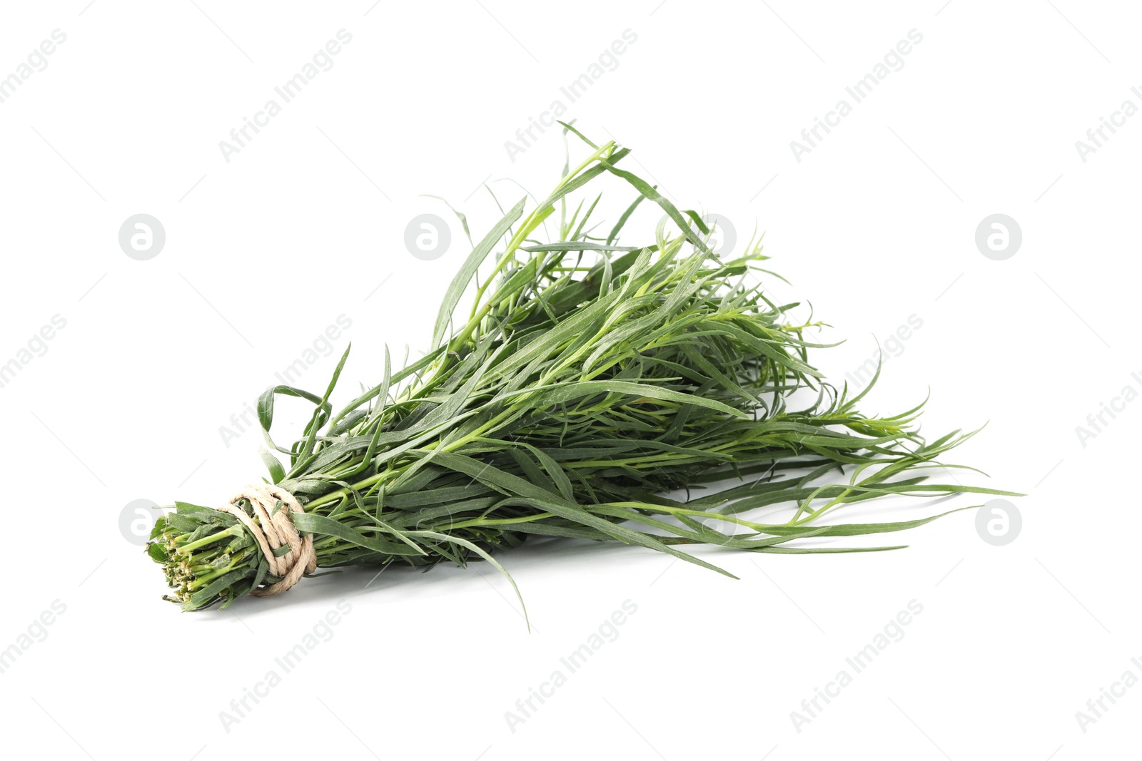 Photo of Bunch of fresh tarragon on white background