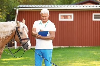 Photo of Senior veterinarian with clipboard near palomino horse outdoors