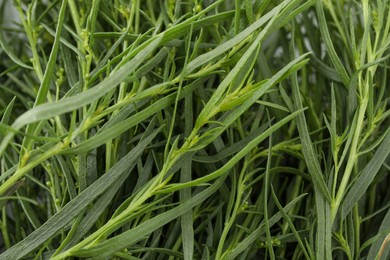 Photo of Fresh tarragon sprigs as background, closeup view