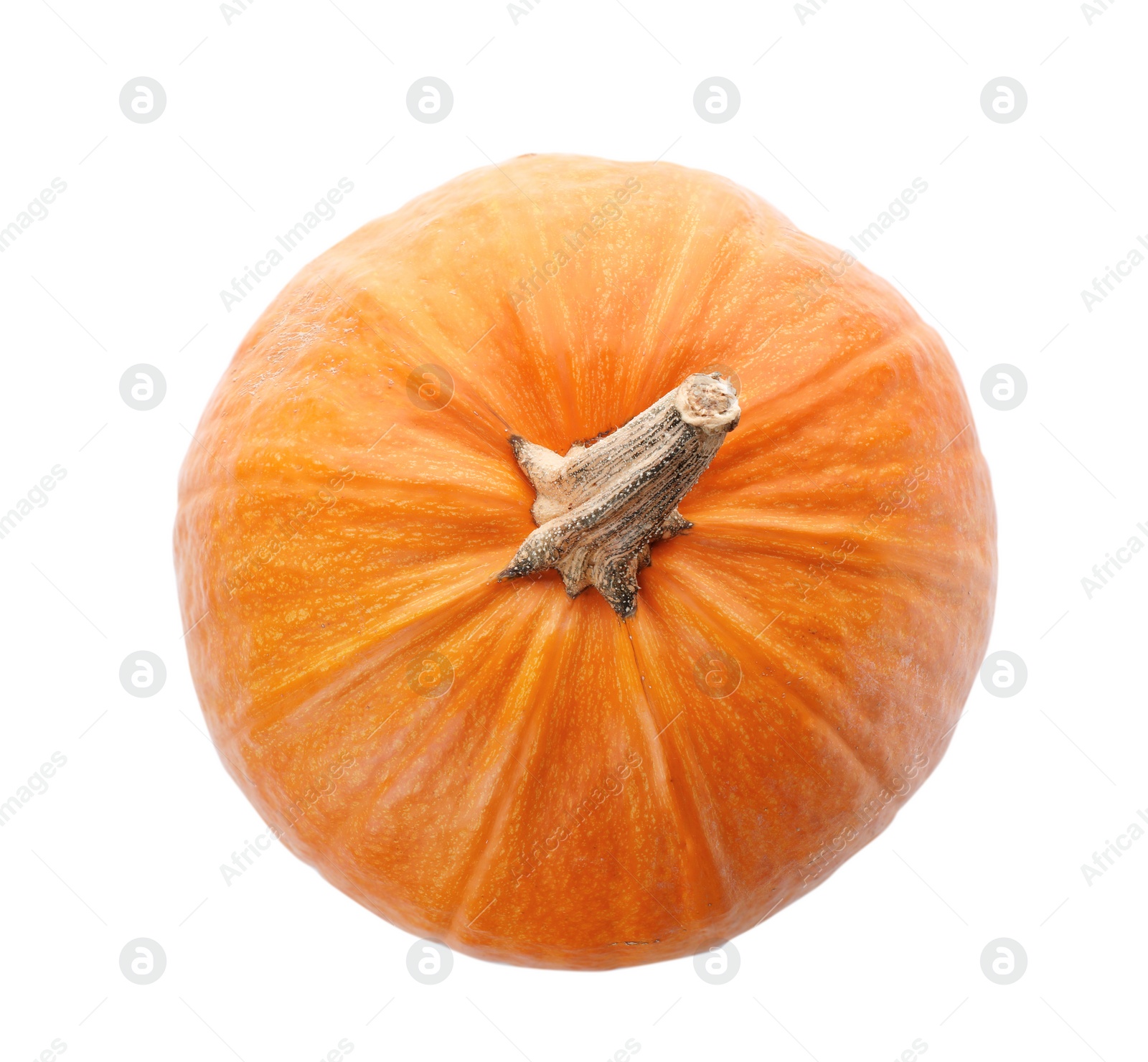 Photo of Fresh raw pumpkin isolated on white, top view. Organic plant