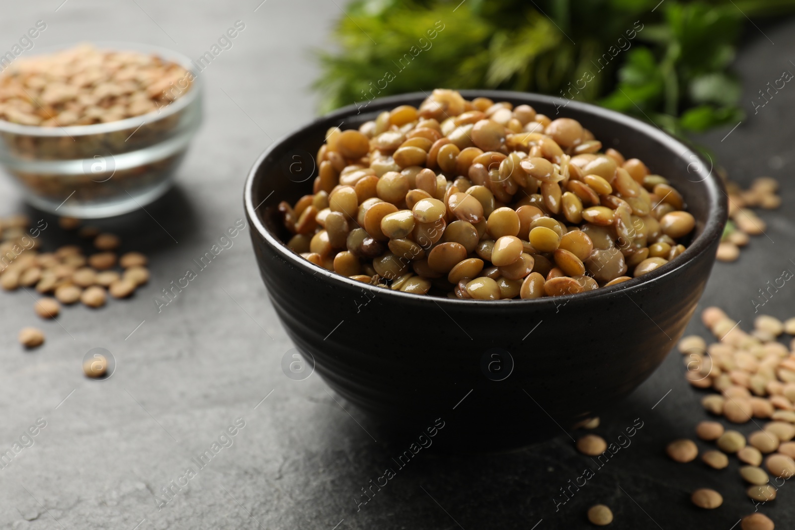 Photo of Delicious lentils in bowl on grey table, closeup