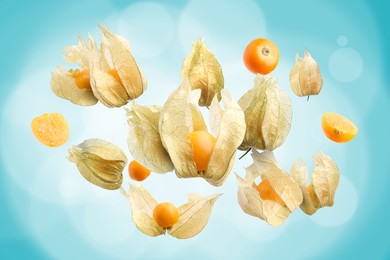 Ripe orange physalis fruits with calyx falling on light blue background