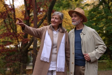 Affectionate senior couple walking in autumn park