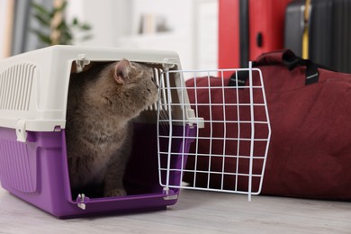 Travel with pet. Cute cat in carrier and bag at home