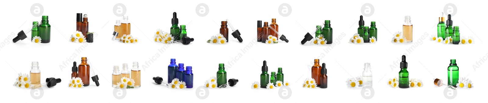 Image of Set with bottles of essential oils and fresh chamomile flowers on white background. Banner design