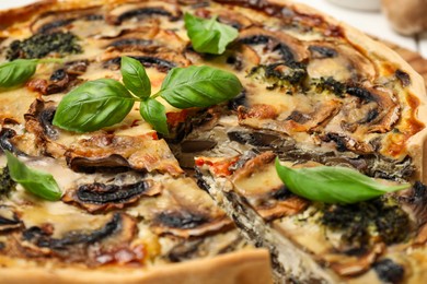 Delicious quiche with mushrooms and basil, closeup