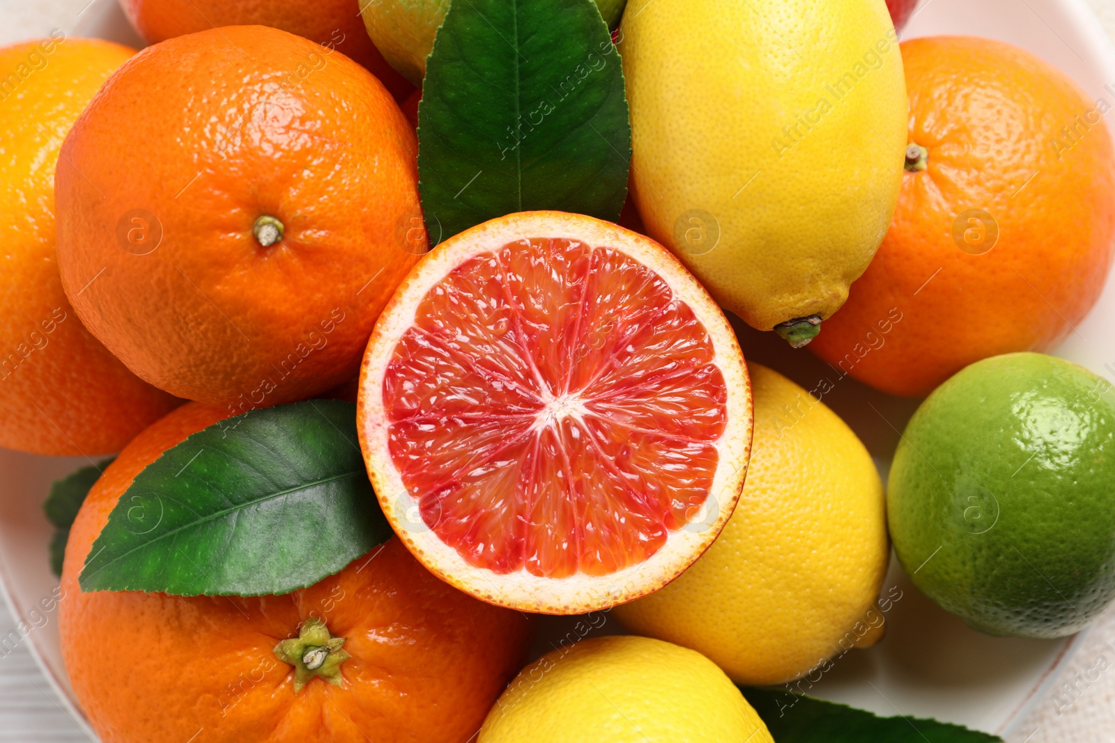 Photo of Different ripe citrus fruits on plate, closeup