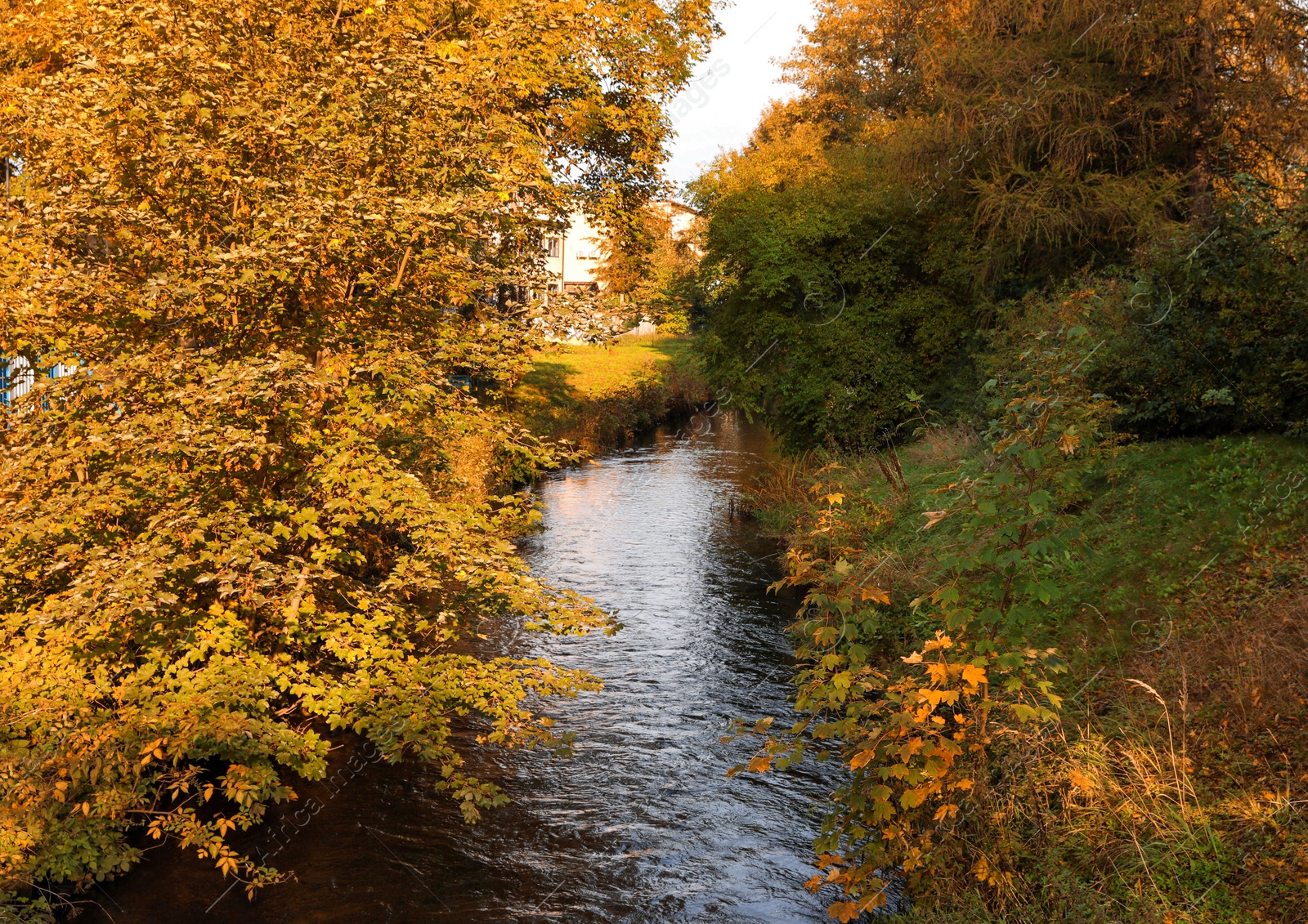 Photo of Picturesque view of river in beautiful park. Autumn season