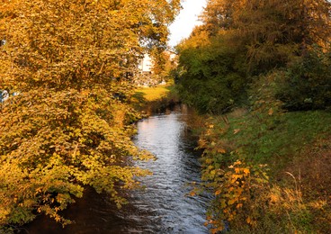 Photo of Picturesque view of river in beautiful park. Autumn season