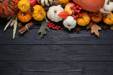 Thanksgiving day. Flat lay composition with pumpkins on black wooden table, space for text