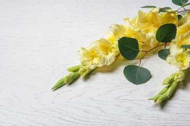 Beautiful gladiolus flowers on light wooden background