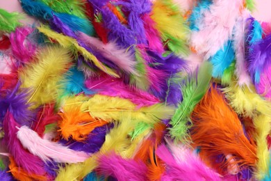 Photo of Many beautiful bright feathers as background, top view