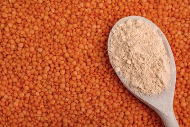 Photo of Spoon of lentil flour on seeds, closeup