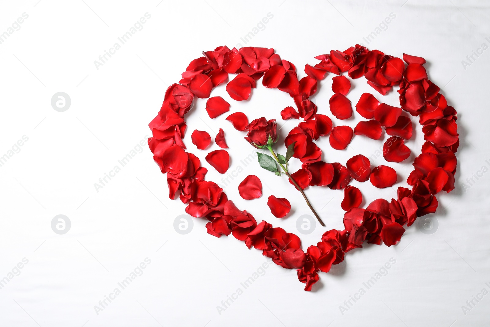 Photo of Honeymoon. Heart made with rose and petals on white background, top view