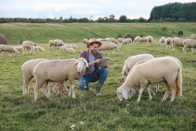 Photo of Smiling man with tablet surrounded by sheep on pasture at farm