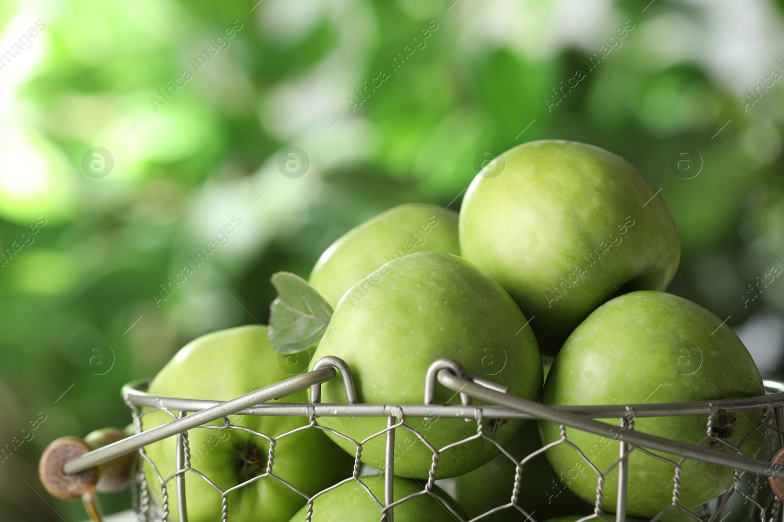 Photo of Metal basket with ripe green apples on blurred background, closeup