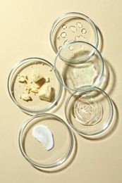 Many Petri dishes and cosmetic products on beige background, flat lay