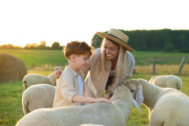 Photo of Mother and son with sheep on pasture. Farm animals