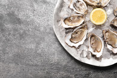 Delicious fresh oysters with lemon on grey table, top view. Space for text