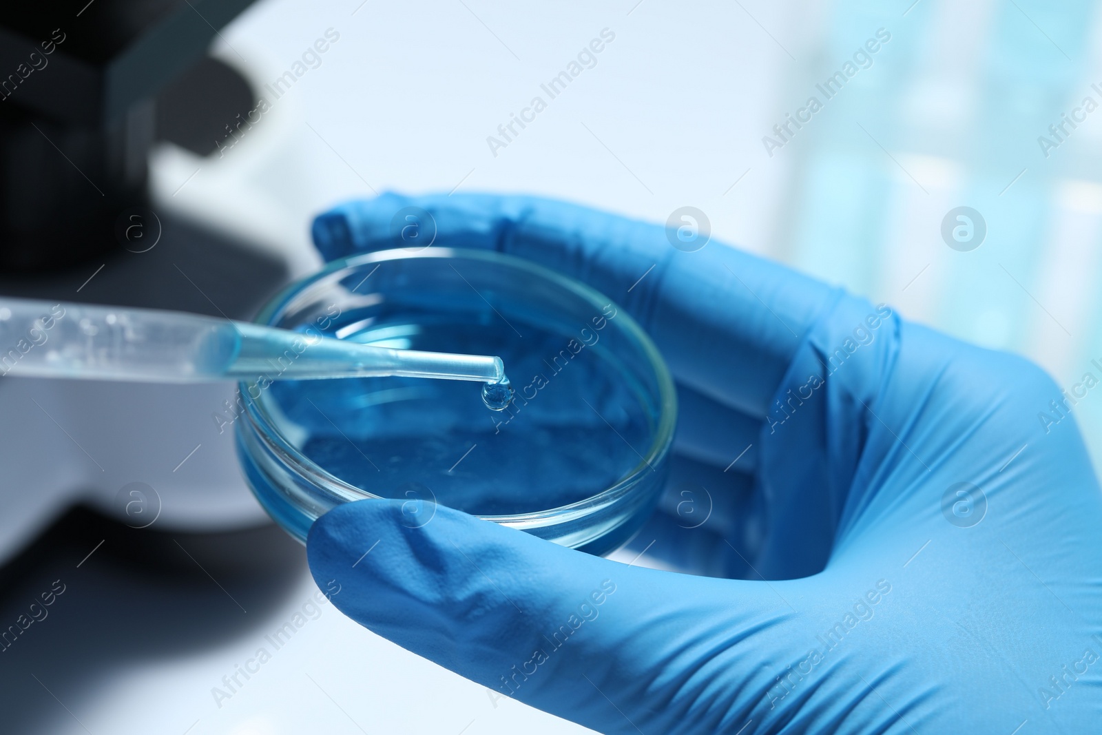 Photo of Scientist dripping liquid from pipette into petri dish at white table, closeup