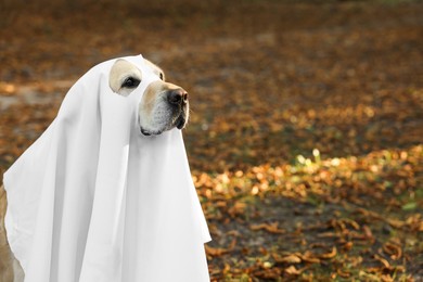 Photo of Cute Labrador Retriever dog wearing ghost costume in autumn park on Halloween. Space for text