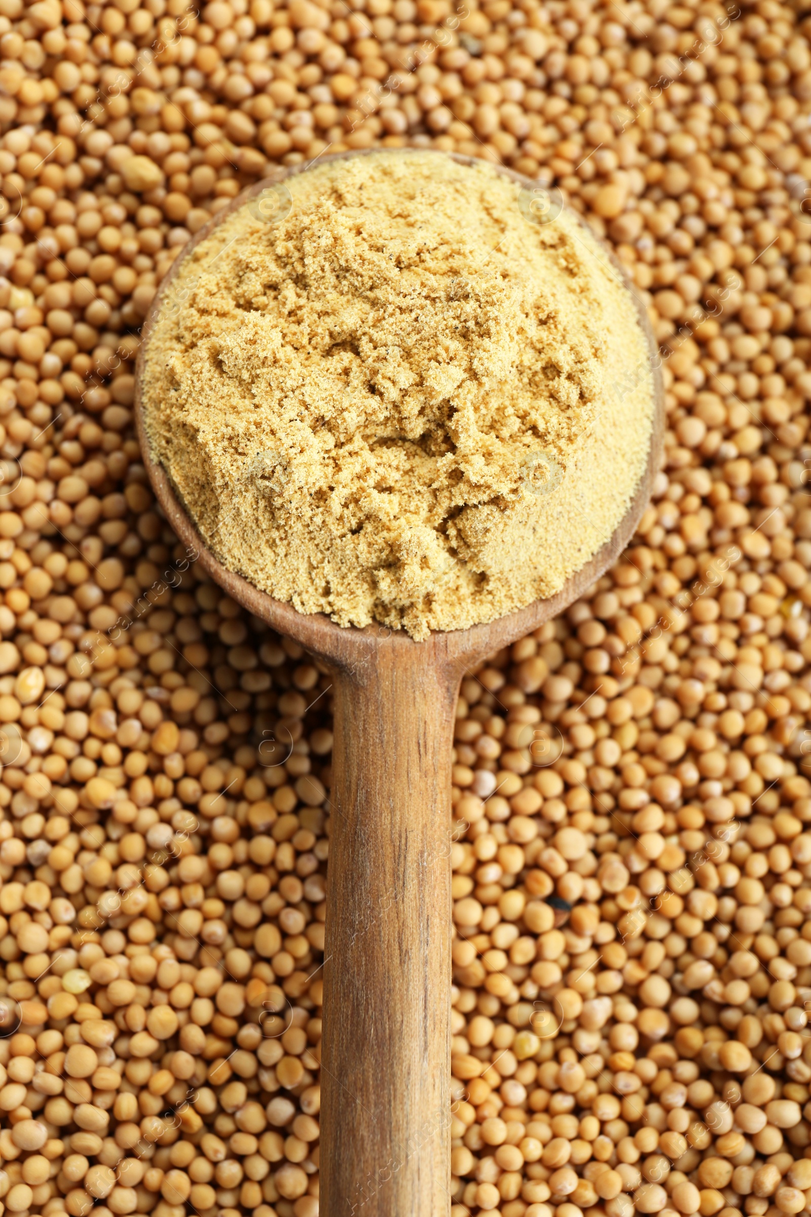 Photo of Wooden spoon of aromatic mustard powder on seeds, top view