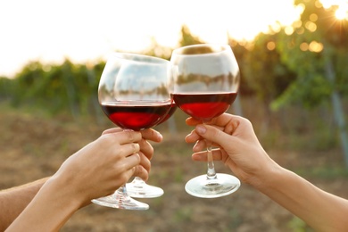 Photo of Friends holding glasses of wine on vineyard picnic