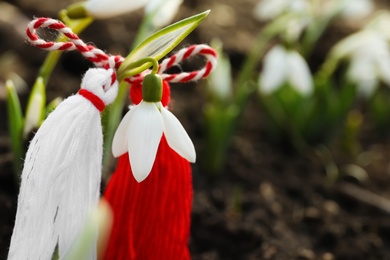 Traditional martisor on beautiful snowdrop outdoors, closeup. Beginning of spring celebration