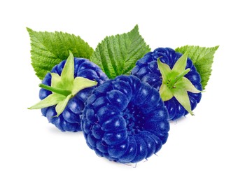 Image of Many fresh blue raspberries and green leaves isolated on white