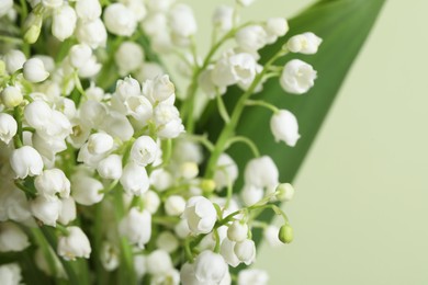 Photo of Beautiful lily of the valley flowers on light green background, closeup