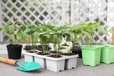 Vegetable seedlings growing in plastic containers with soil and trowel on light gray table, closeup