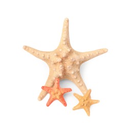 Photo of Beautiful sea stars (starfish) isolated on white, top view